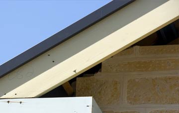 Humble Green fascia repairs