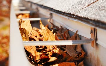 Humble Green gutter cleaning companies