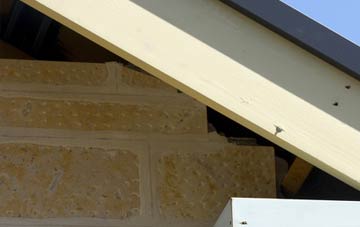 soffit repair Humble Green