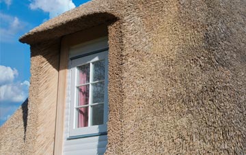 Humble Green thatch roof disadvantages