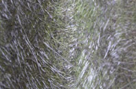 Humble Green fibreglass roof work