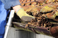 Humble Green gutter cleaners