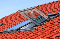 Humble Green roof window